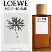 Cologne Loewe Pour Homme - eau de toilette - 150ml - vaporisateur
