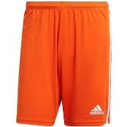 Pantalon adidas Squadra 21