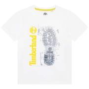T-shirt enfant Timberland T25T82-10P-J