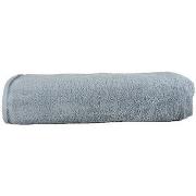 Serviettes et gants de toilette A&amp;r Towels RW6536