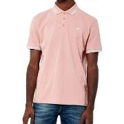 Polo Kaporal Rayoc pink