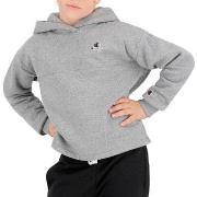 Sweat-shirt enfant Champion 404226-EM525