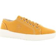 Baskets basses Timberland 0a5p48