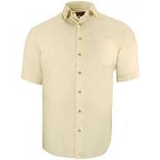 Chemise Doublissimo chemisette forte taille unie primino beige