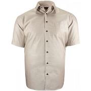 Chemise Doublissimo chemisette forte taille a motifs sublimo gris