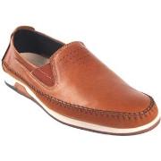 Chaussures Baerchi Chaussure homme 9501 cuir