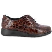 Derbies Doctor Cutillas 86023