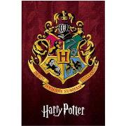 Affiches, posters Harry Potter TA4109