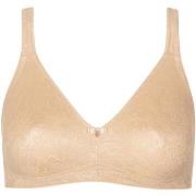 Minimiseurs Lisca Soutien-gorge minimiseur préformé sans armatures Jan...