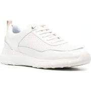 Baskets basses Geox alleniee sport shoes