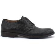 Chaussures Café Noir T.Di Moro GRE233