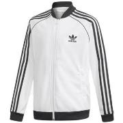 Veste enfant adidas SUPERSTAR