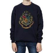 Sweat-shirt enfant Harry Potter BI1058