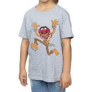 T-shirt enfant The Muppets Classic