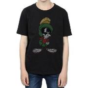 T-shirt enfant Dessins Animés BI1587