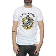 T-shirt Harry Potter BI1331