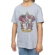 T-shirt enfant Harry Potter BI1445