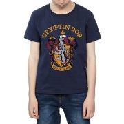 T-shirt enfant Harry Potter BI769