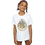 T-shirt enfant Harry Potter BI1102