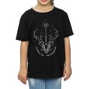T-shirt enfant Harry Potter BI1124