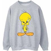 Sweat-shirt Dessins Animés Angry