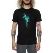 T-shirt Harry Potter BI1552