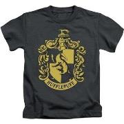 T-shirt enfant Harry Potter BI1557