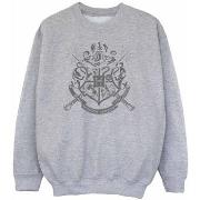 Sweat-shirt enfant Harry Potter BI1938