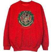 Sweat-shirt enfant Harry Potter BI2011