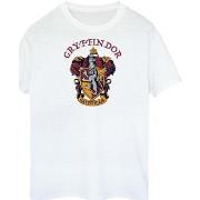 T-shirt Harry Potter BI2156