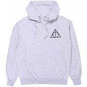 Sweat-shirt Harry Potter Nothing To Fear