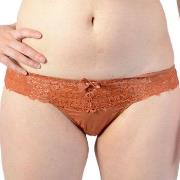 Culottes &amp; slips Valege Tanga Robyn Terracota