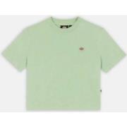 Chemise Dickies OAKPORT BOXY TEE SS W