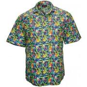 Chemise Doublissimo chemisette imprimee hawai bleu