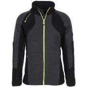 Polaire Peak Mountain Polaire homme CECUT