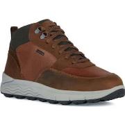 Boots Geox spherica 4x4 abx booties cognac