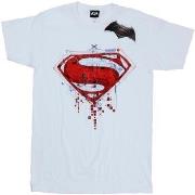 T-shirt enfant Dc Comics BI10754