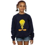 Sweat-shirt enfant Dessins Animés BI1900