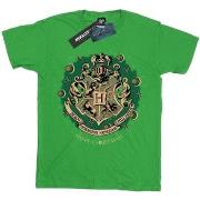 T-shirt enfant Harry Potter BI1681