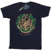 T-shirt enfant Harry Potter BI1681