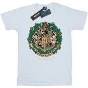 T-shirt enfant Harry Potter BI1681