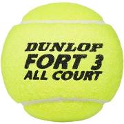 Accessoire sport Dunlop Fort All Court