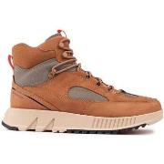 Chaussures Sorel Mac Hill Lite Trace Formateurs