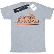 T-shirt enfant Disney Little Friends Forever