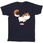 T-shirt Disney Big Hero 6 Baymax Kitten Pose