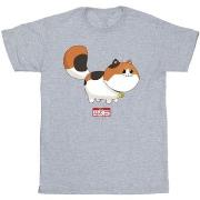 T-shirt Disney Big Hero 6 Baymax Kitten Pose
