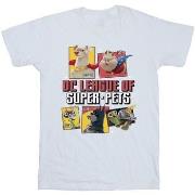 T-shirt enfant Dc Comics DC League Of Super-Pets