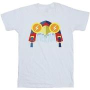 T-shirt enfant Dc Comics DC League Of Super-Pets