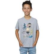 T-shirt enfant Fantastic Beasts BI17358