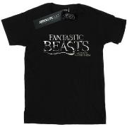 T-shirt enfant Fantastic Beasts BI17940